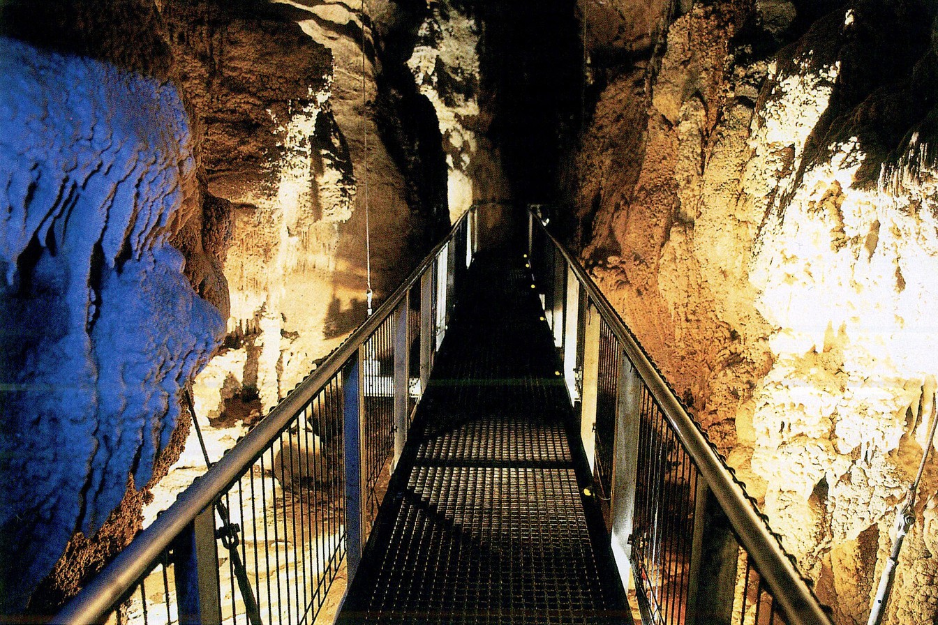 Ruakuri Cave image