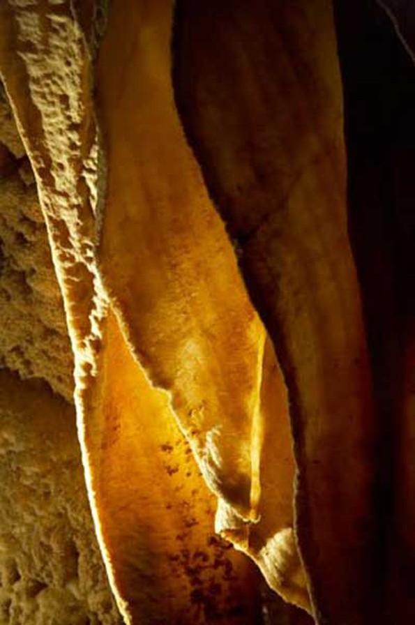 Ruakuri Cave image